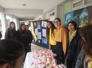 IMG 2affb6daa09d64b3c2882c9284b2d478 V