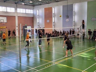 IMG 73b7d8c50ca62a3b6bad3c1fa4c70710 V