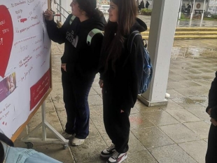 IMG 93f9a2023d24a614aeb0c58993a14117 V