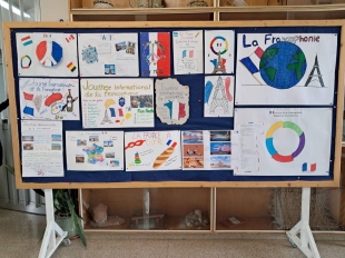 IMG A56132f2d98174f8295084fab3d40d5d V