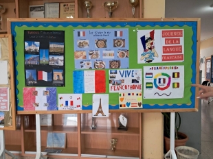 IMG B24b8646ca3d6b6acd2ae4efc777e468 V